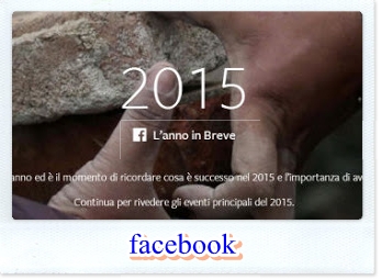 facebook2015